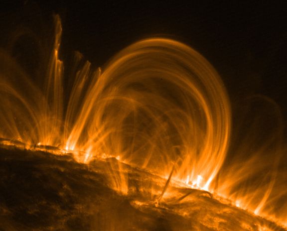 image of prominences on the sun