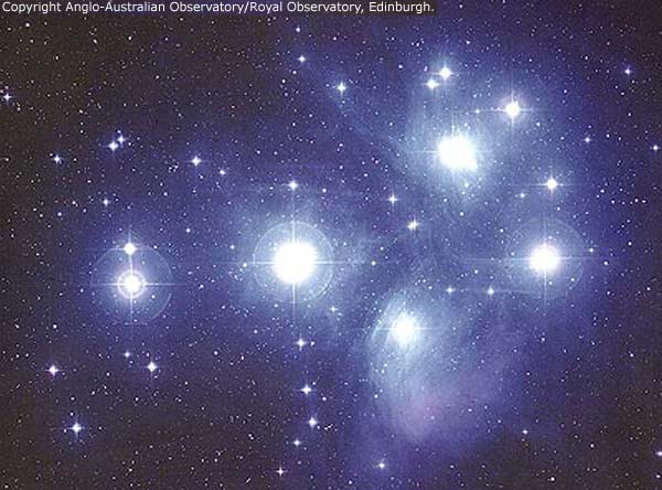 Pleides star cluster
